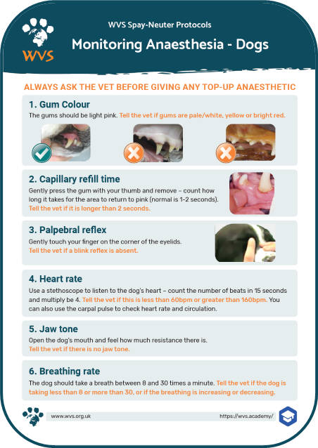 Anaesthetic monitoring