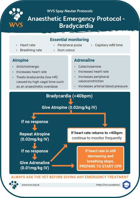 Bradycardia emergency treatment