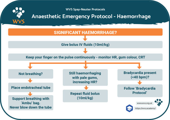 Haemorrhage emergency treatment