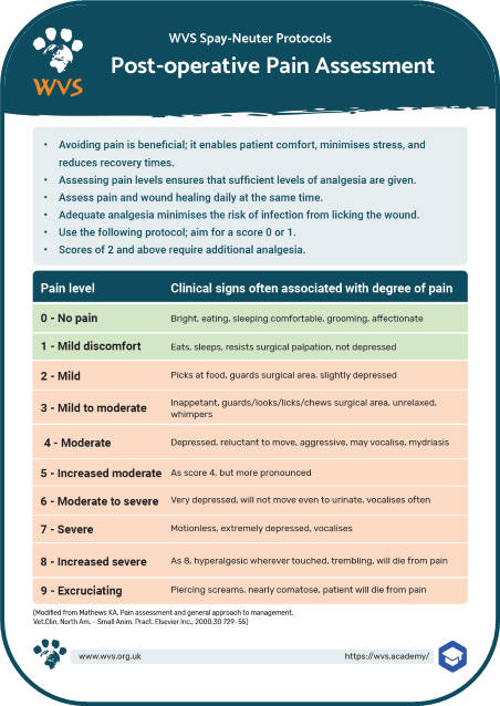 Pain assessment