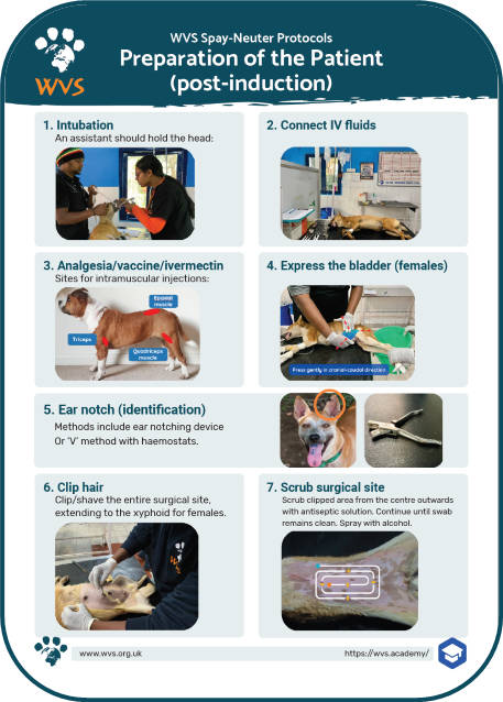 Preparation of the patient