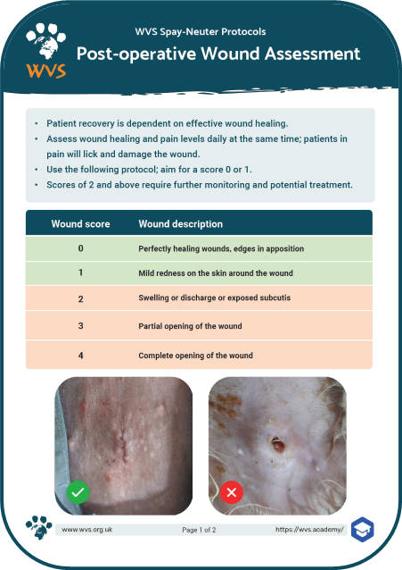 Wound assessment